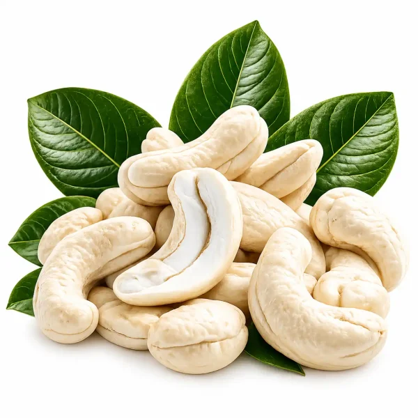 Cashew W210